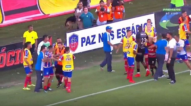 Brazilian league match abandoned after nine players are sent off in mass brawl Brazilian league match abandoned after nine players are sent off in mass brawl