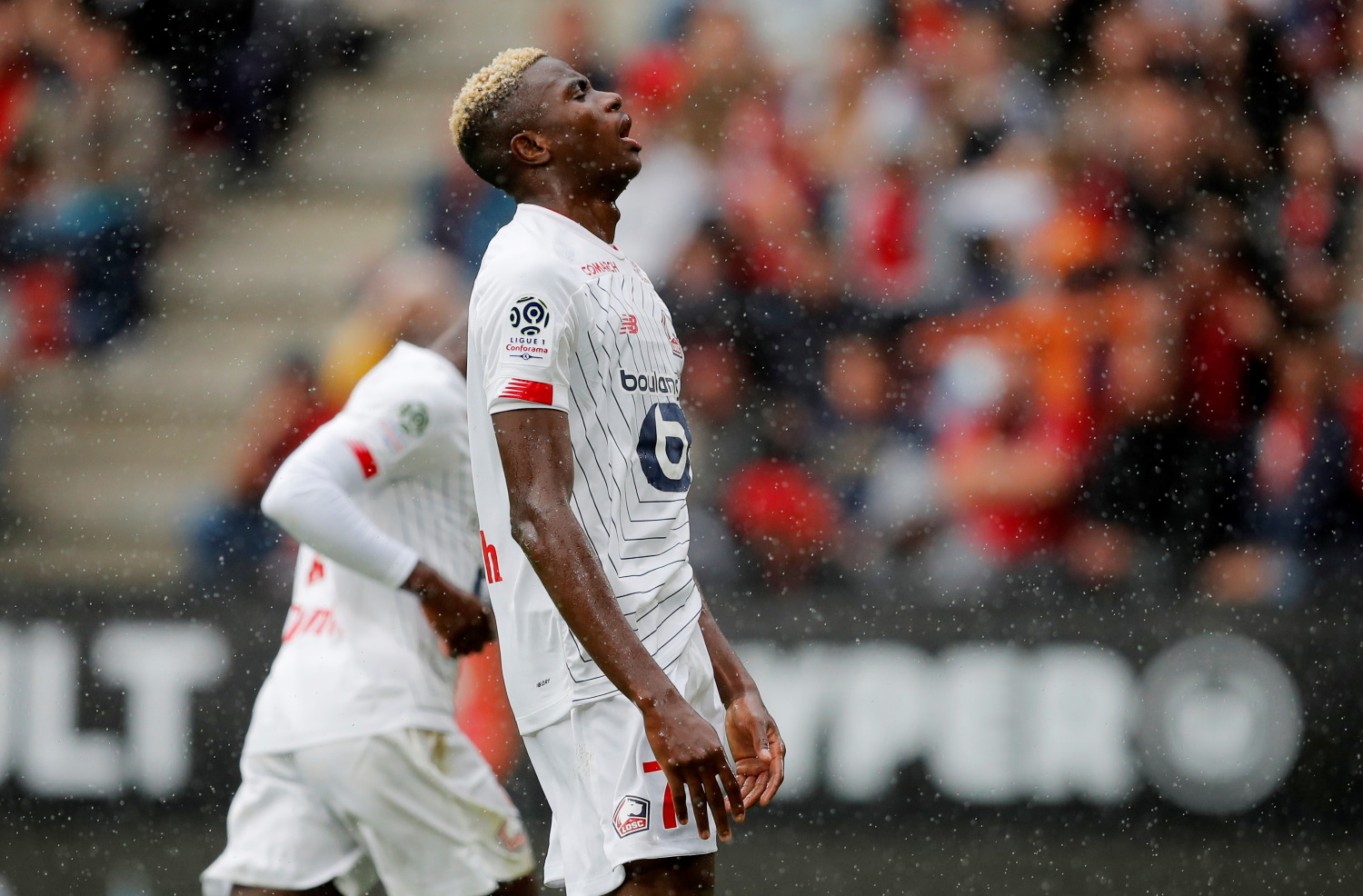 Bayern keen on Lille strike starlet Bayern keen on Lille strike starlet