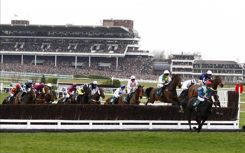 Brewin’upastorm set for Gloucestershire trip Brewin’upastorm set for Gloucestershire trip