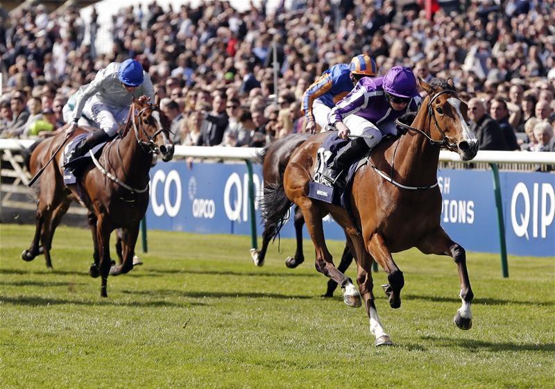 Magna Grecia and Phoenix of Spain retired