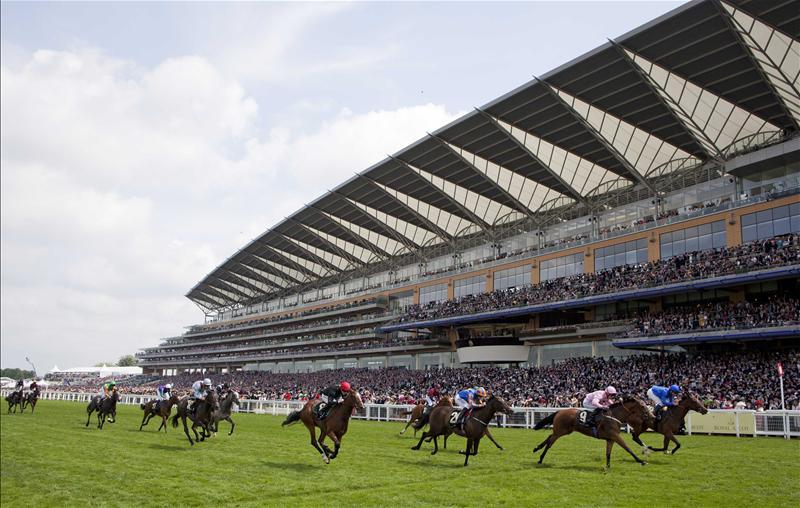 Meade plots Ascot outing for Technician Meade plots Ascot outing for Technician