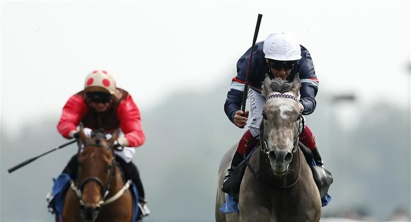 O’Brien confirms Magical retirement O’Brien confirms Magical retirement