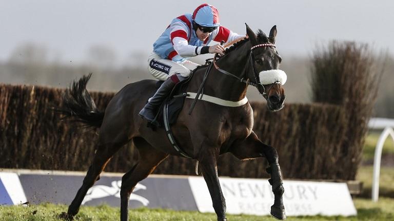 Options open for Saint Calvados Options open for Saint Calvados