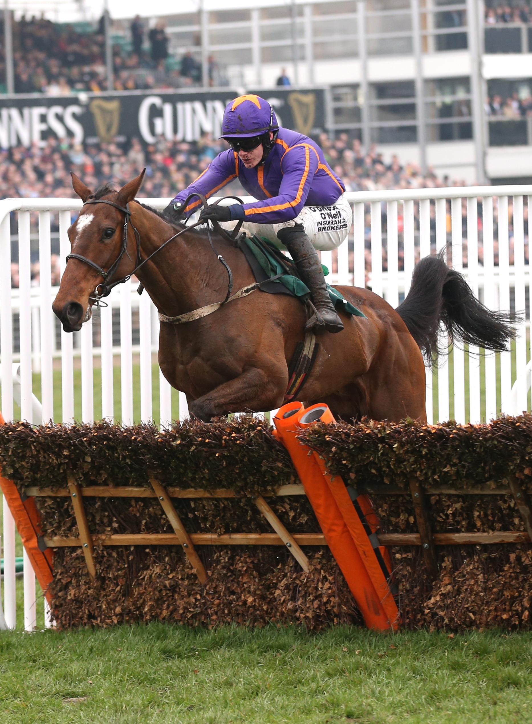 Wicklow Brave dies after American Grand National Wicklow Brave dies after American Grand National