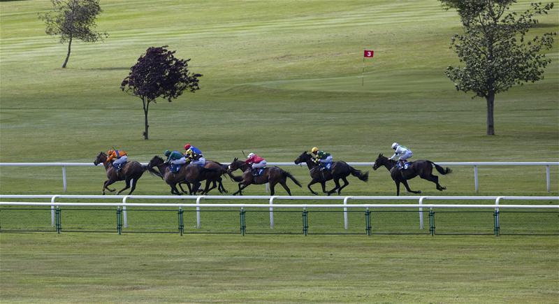 Brewin’upastorm set for Grade 1 outing Brewin’upastorm set for Grade 1 outing