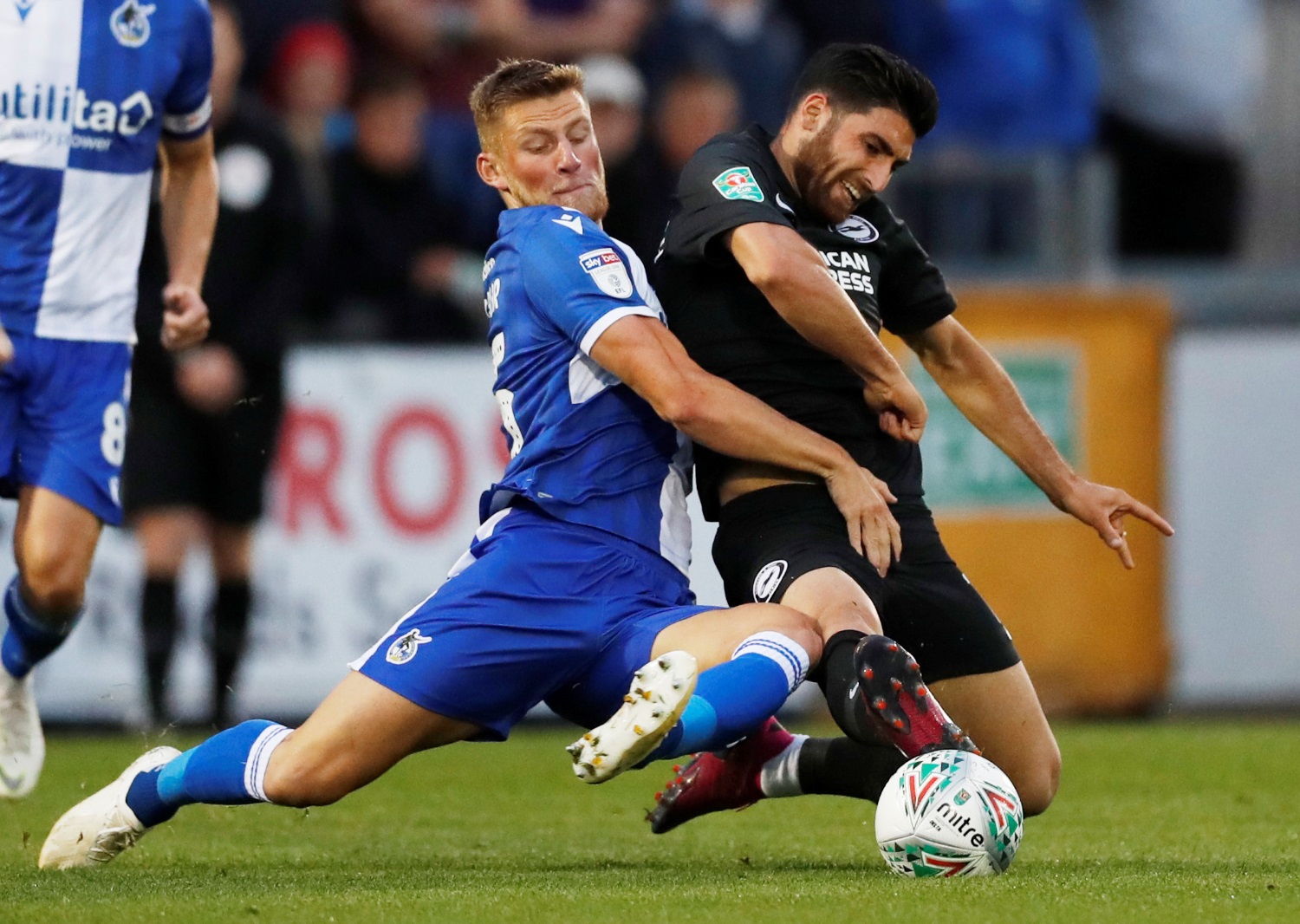 Jahanbakhsh still important for Seagulls – Potter Jahanbakhsh still important for Seagulls – Potter