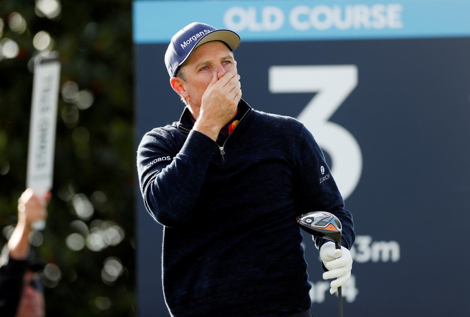 Rose looking to bloom in Antalya Rose looking to bloom in Antalya