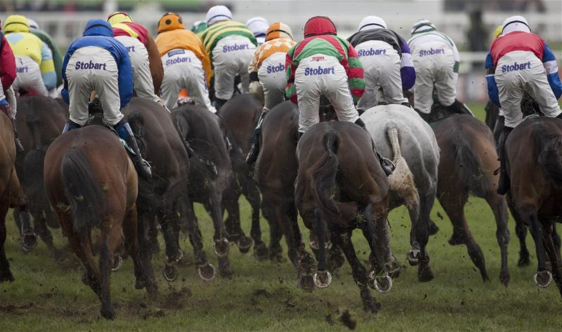 Teal looking forward to Kenzai warrior run Teal looking forward to Kenzai warrior run