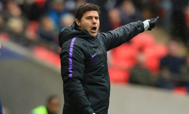 Berbatov backs Man United Pochettino approach