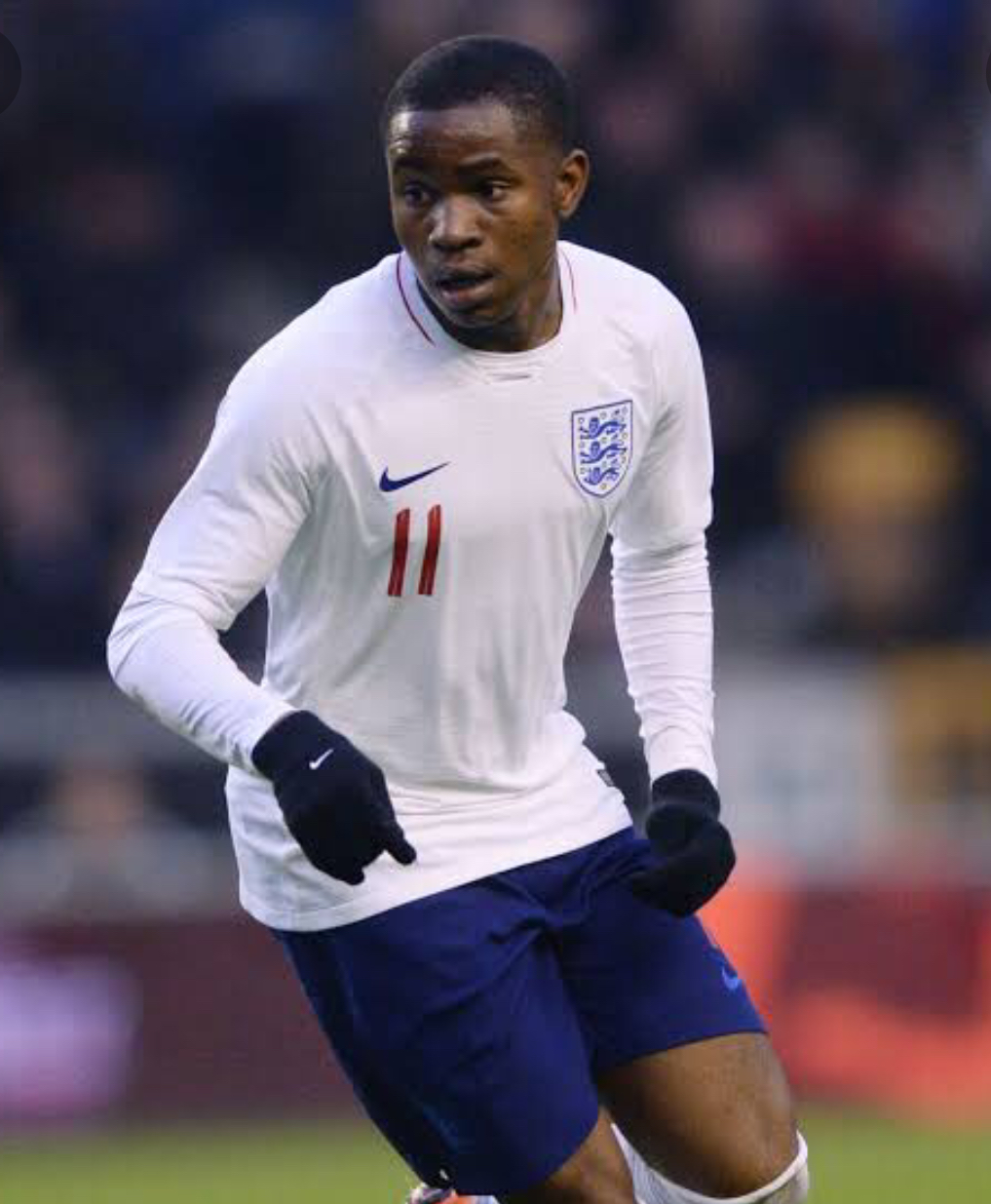 ‘Lookman A Great Addition To Super Eagles’ —NFF Official ‘Lookman A Great Addition To Super Eagles’ —NFF Official