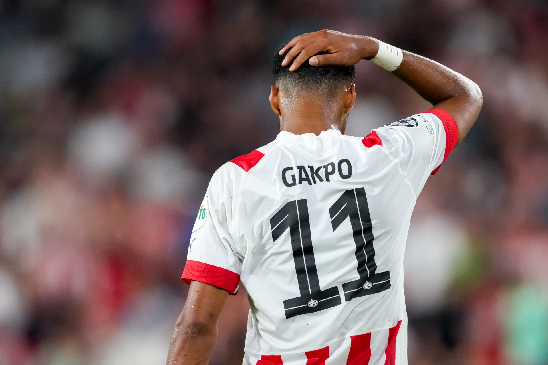 PSV Star Cody Gakpo Admits He Wanted Manchester United Move To Happen PSV Star Cody Gakpo Admits He Wanted Manchester United Move To Happen