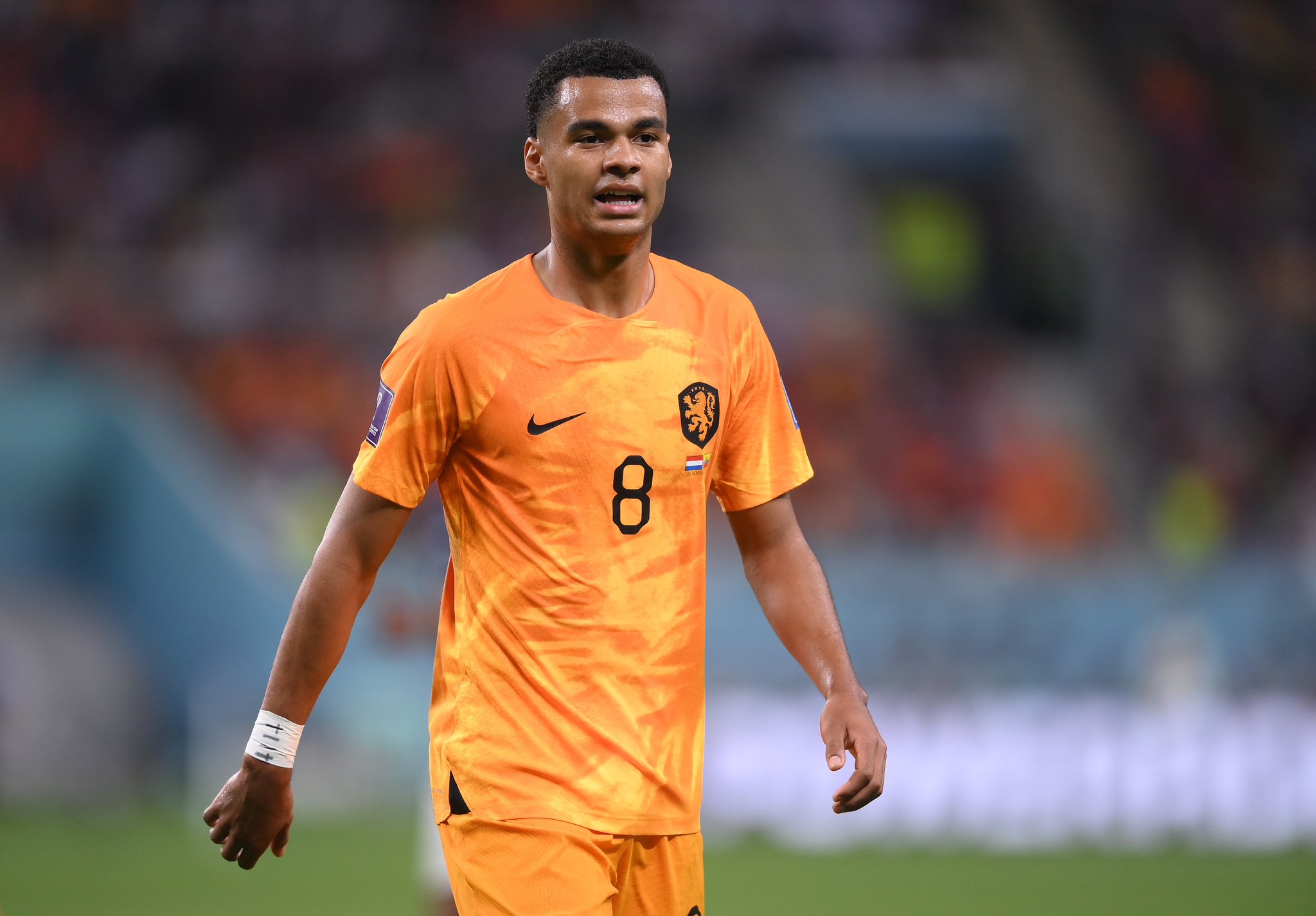 Manchester United Confident Of Signing Liverpool’s Dutch Target Manchester United Confident Of Signing Liverpool’s Dutch Target