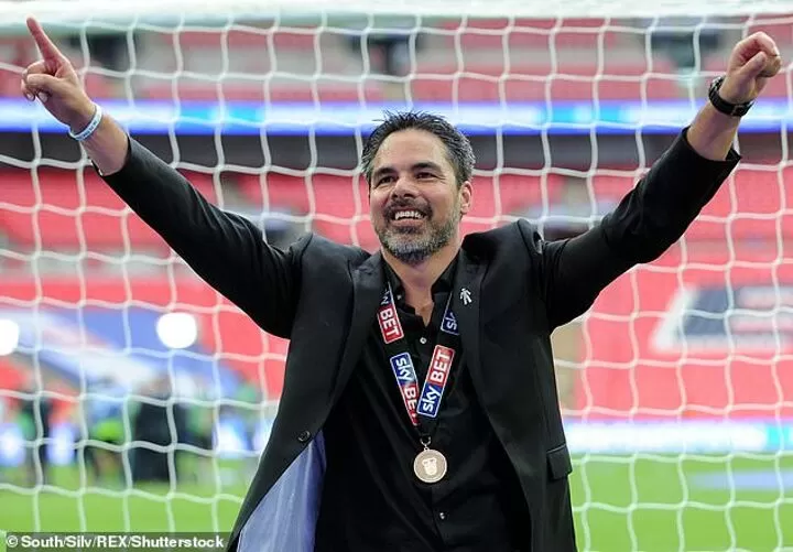 Norwich City Appoint David Wagner As New Head Coach
