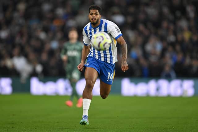 Chelsea Interested In Signing Brighton Duo Chelsea Interested In Signing Brighton Duo